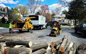 Grass Overseeding in Forest Hills, MI